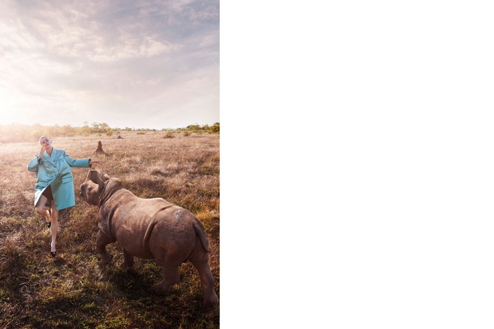 Editorial Save the Rhinos!
