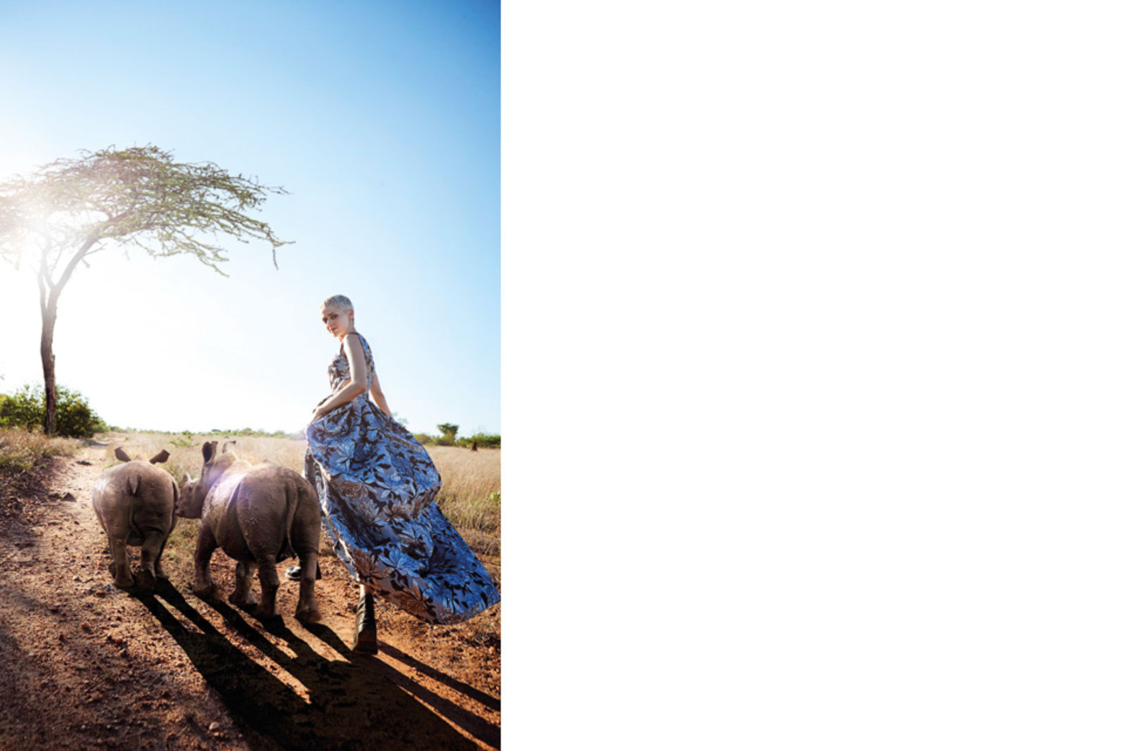 Editorial Save the Rhinos!