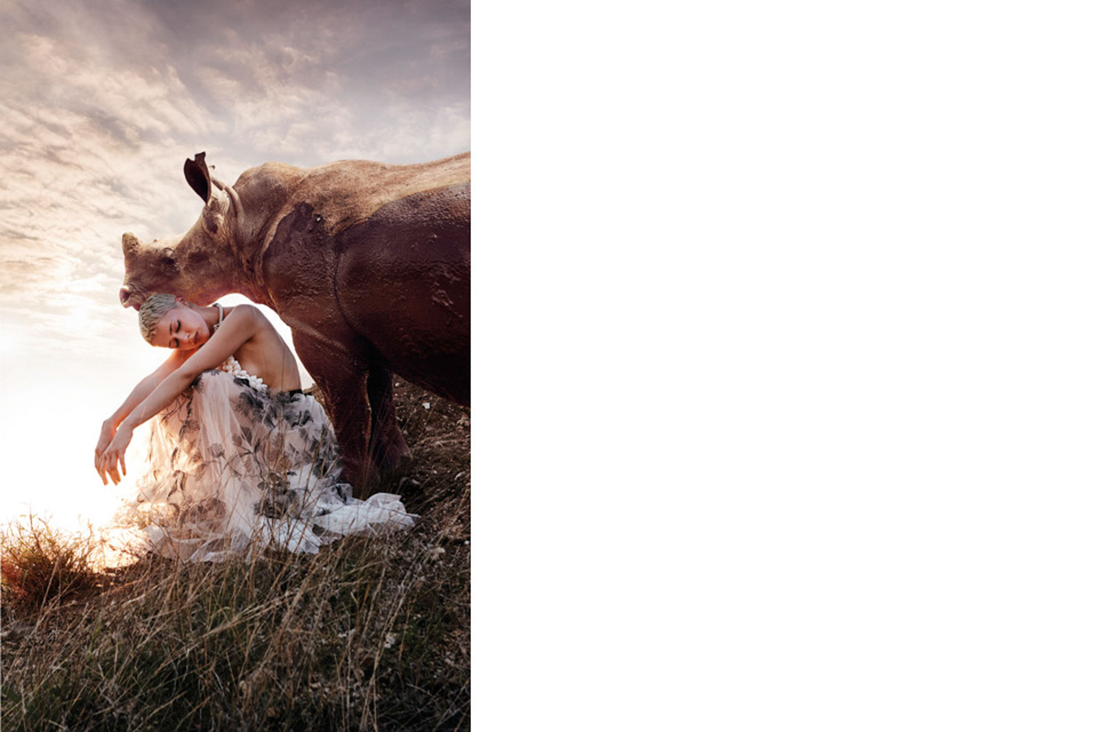 Editorial Save the Rhinos!