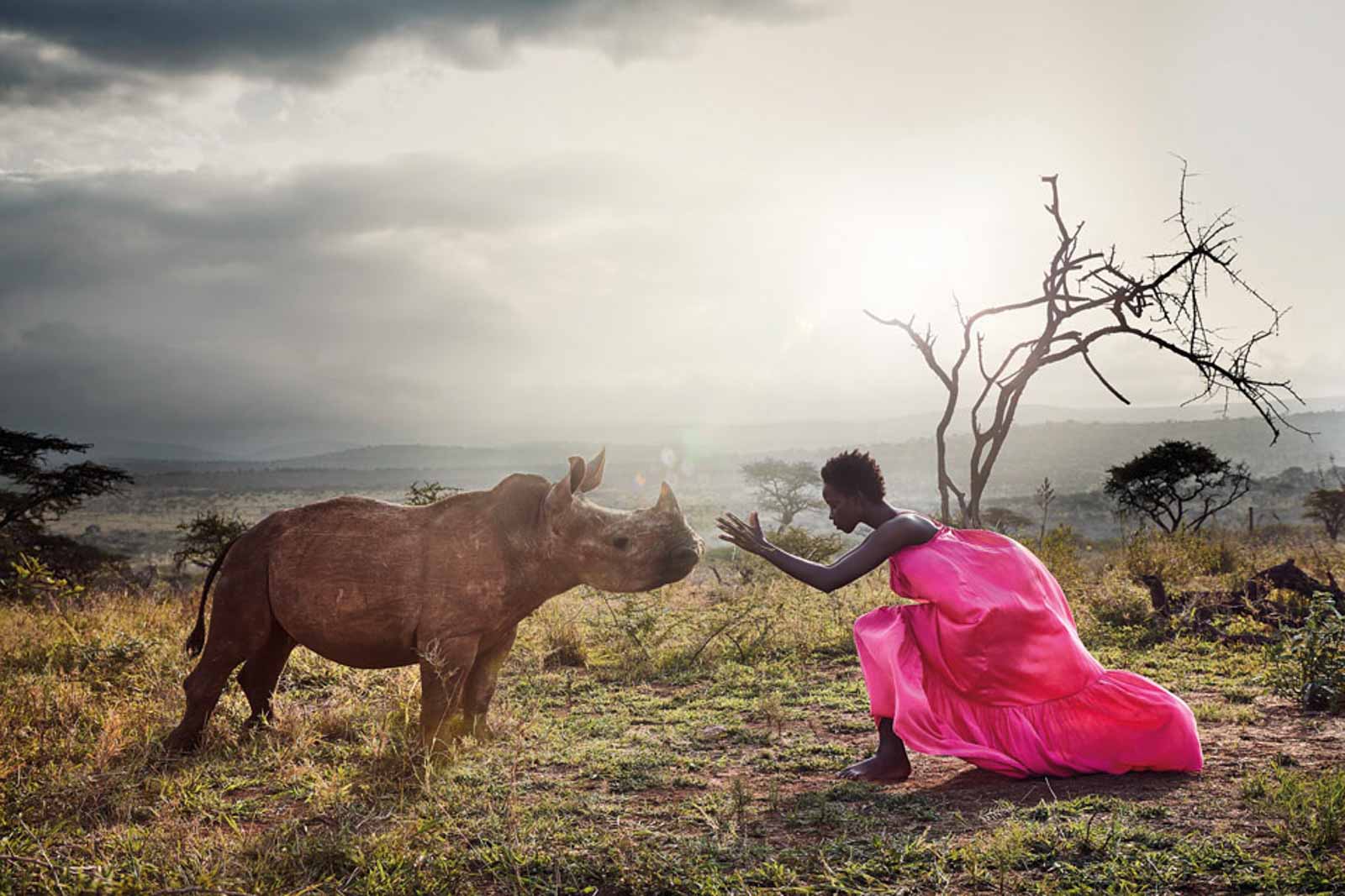 Editorial Save the Rhinos!