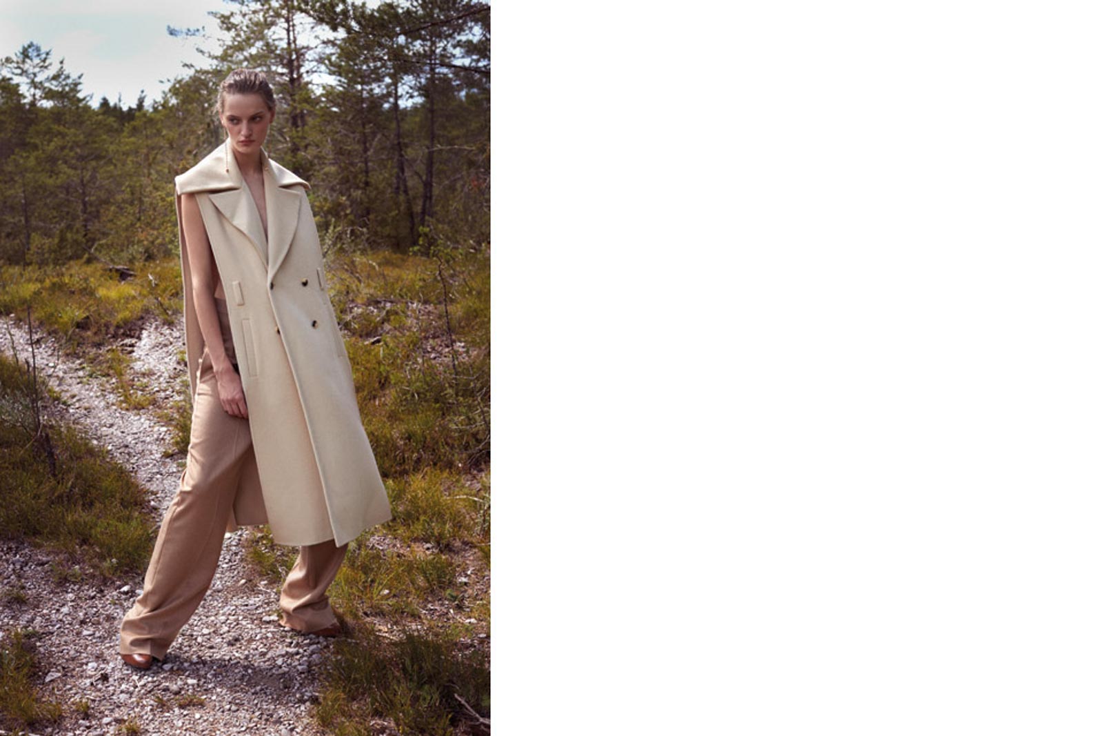 Editorial Out in the Woods