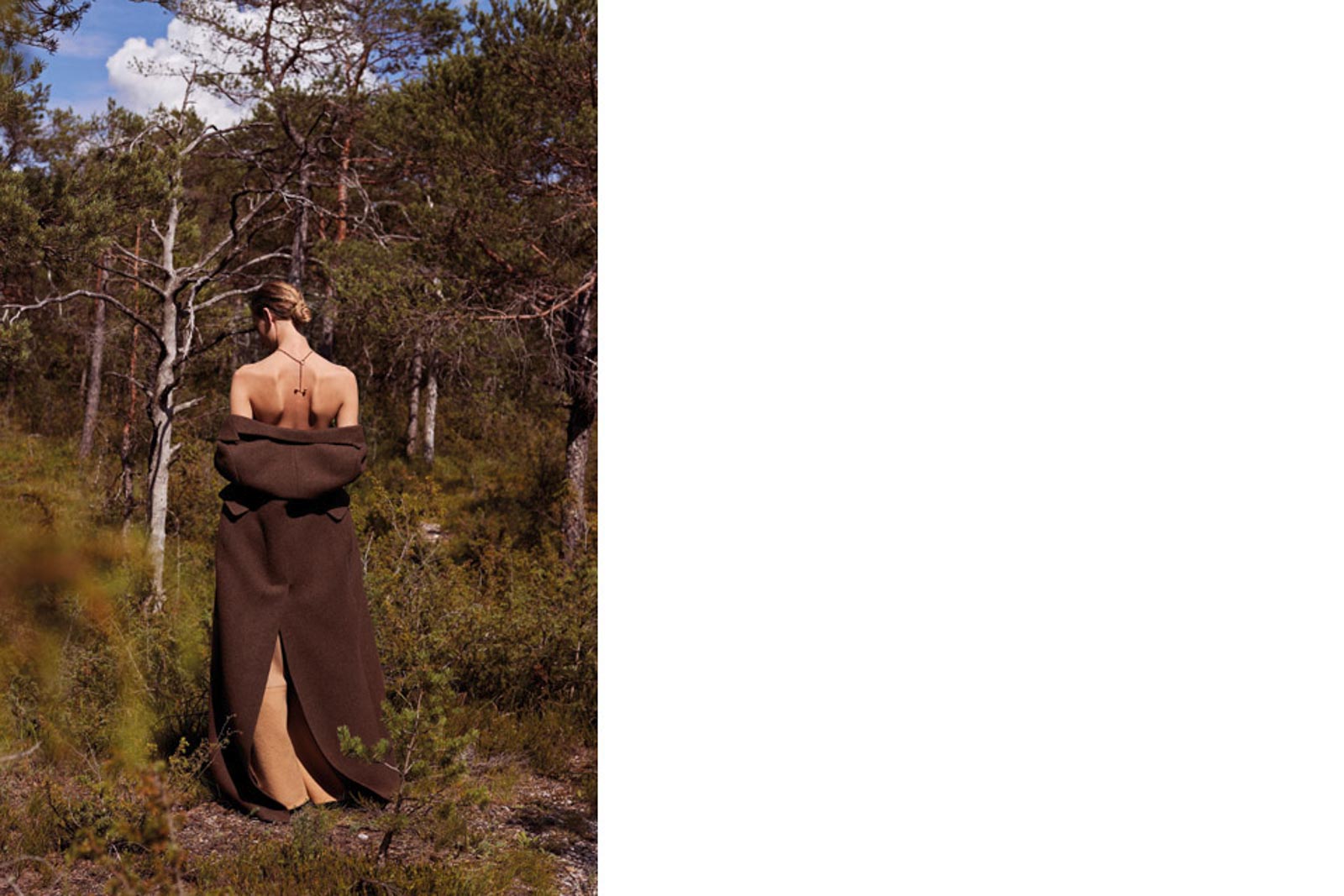 Editorial Out in the Woods
