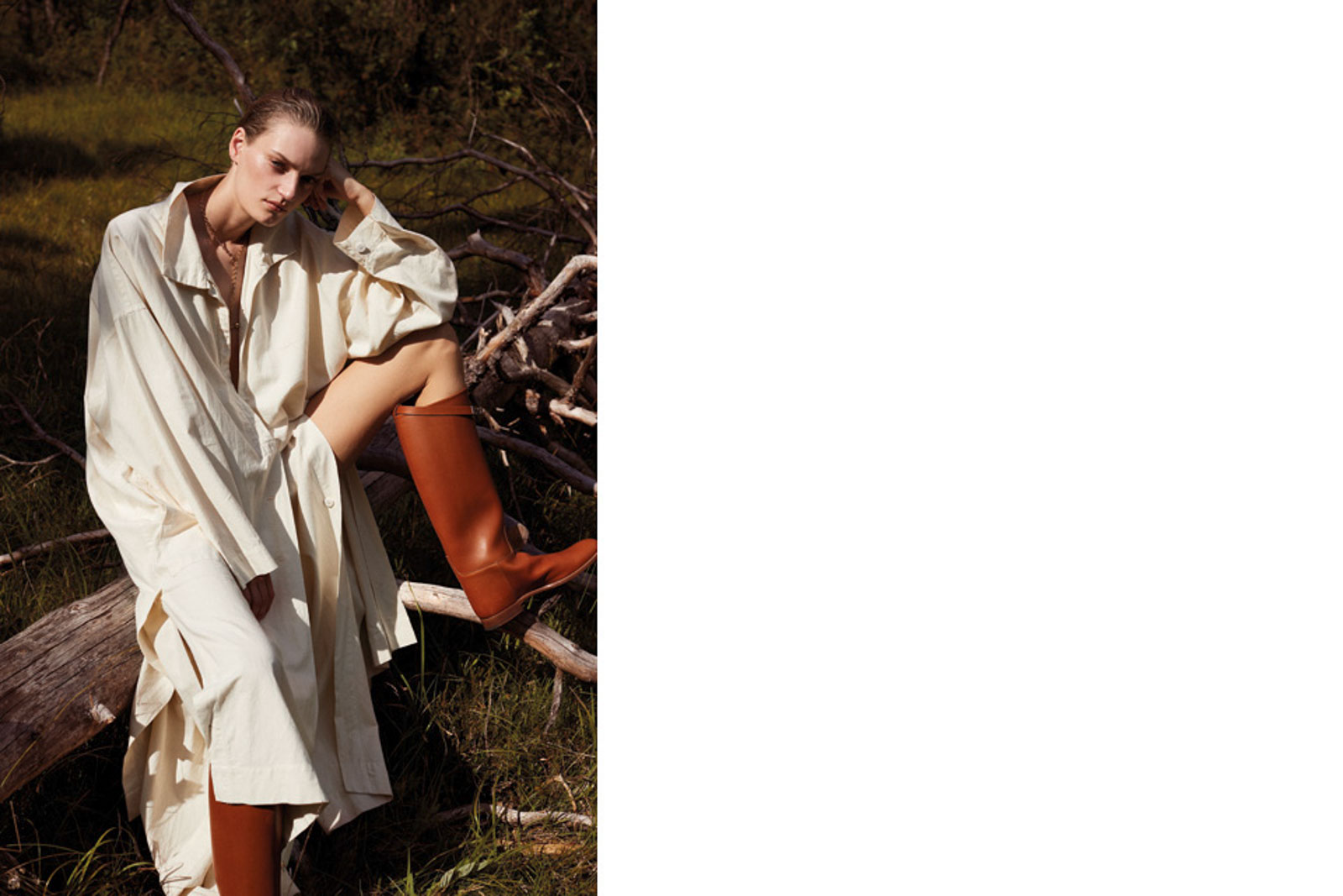 Editorial Out in the Woods