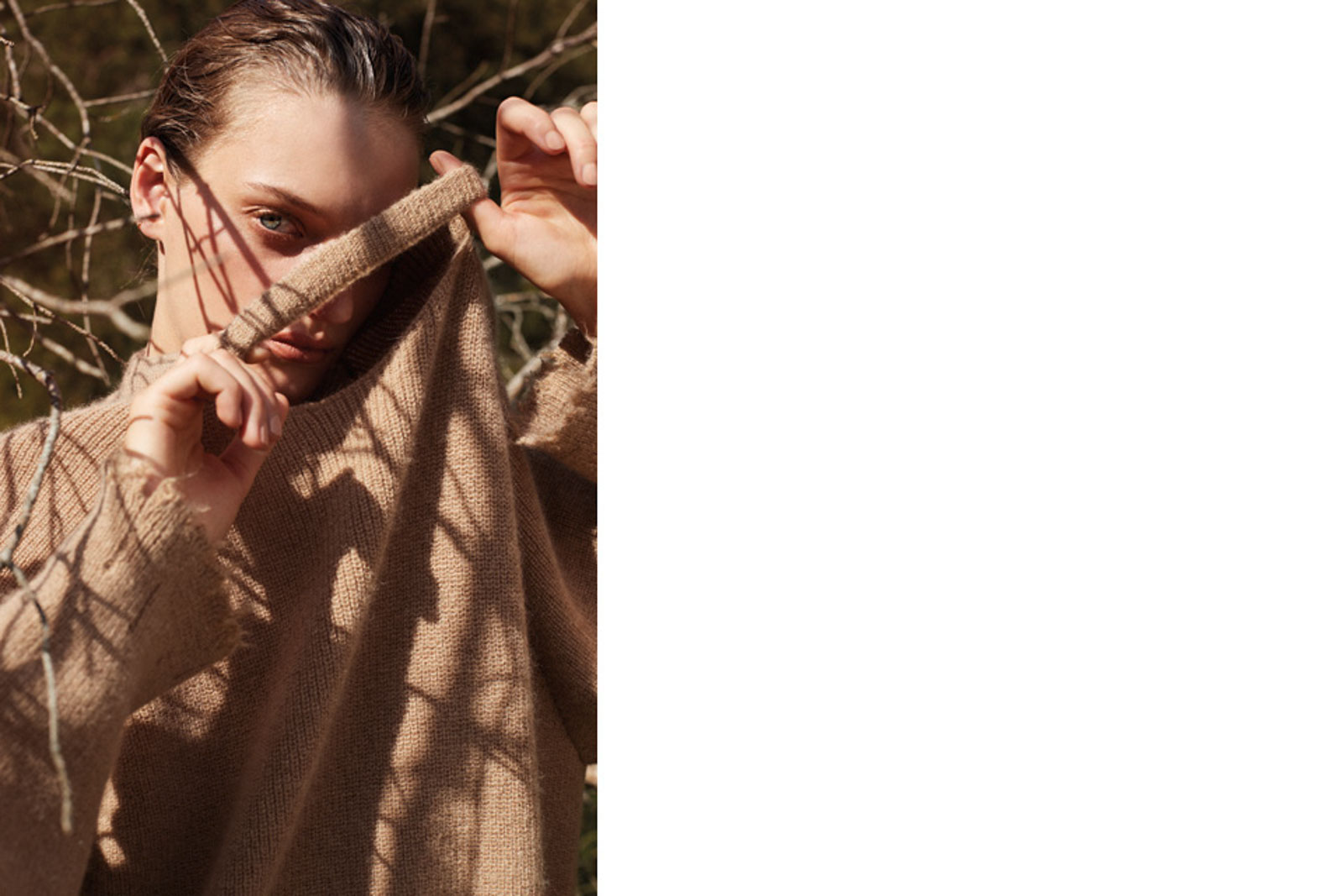 Editorial Out in the Woods