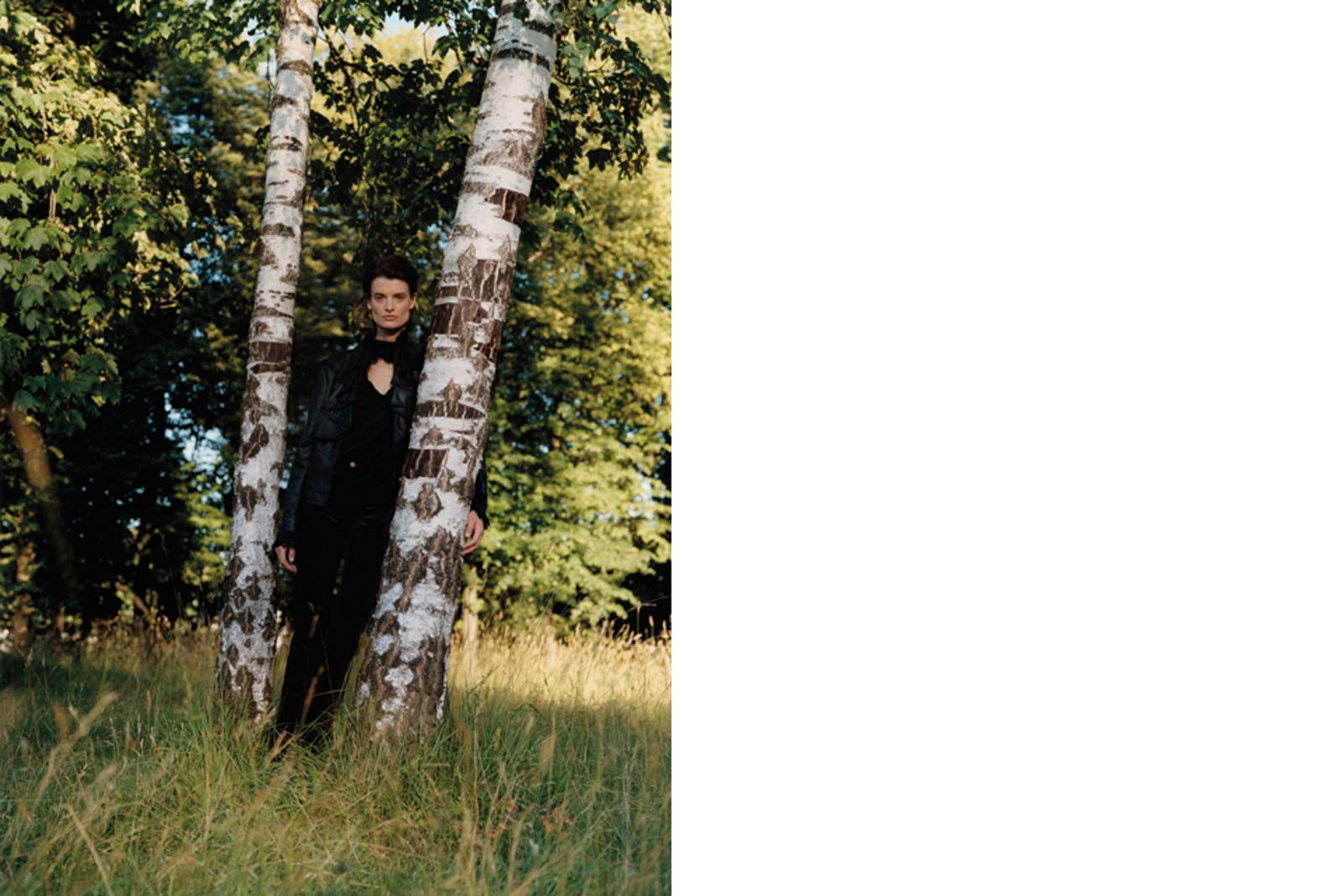Editorial In Garden
