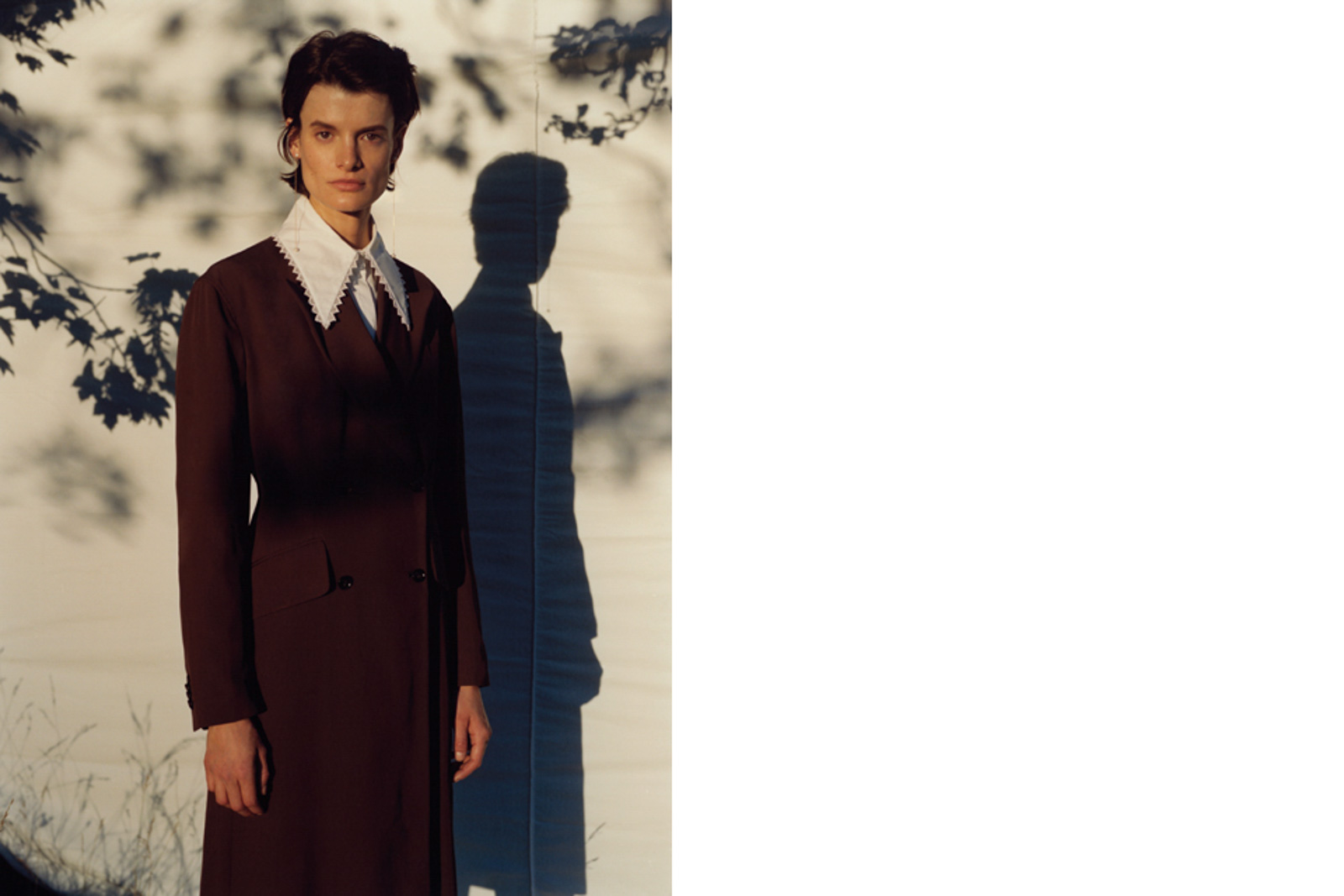 Editorial In Garden