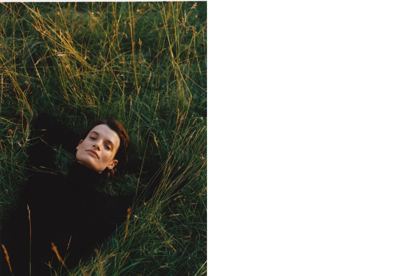 Editorial In Garden