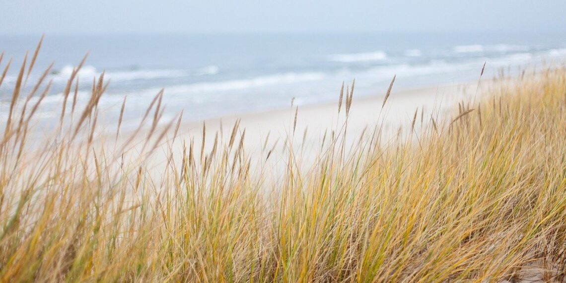 traumhafter ostsee urlaub