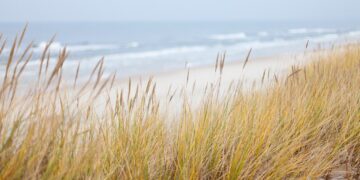 traumhafter ostsee urlaub