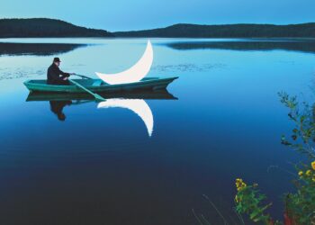 Mondsüchtig – Moon Paradise