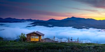 Wie baue ich ein Tiny House?