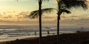 Offshore Pearl: Musa Teaser