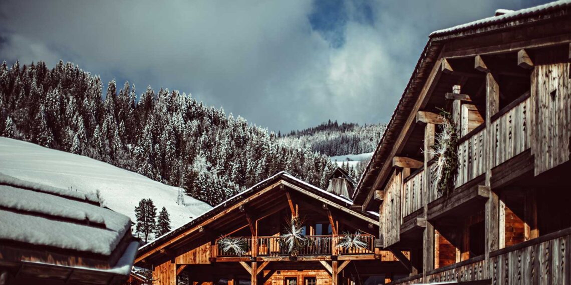 Mountain Bliss: L'Alpaga Teaser