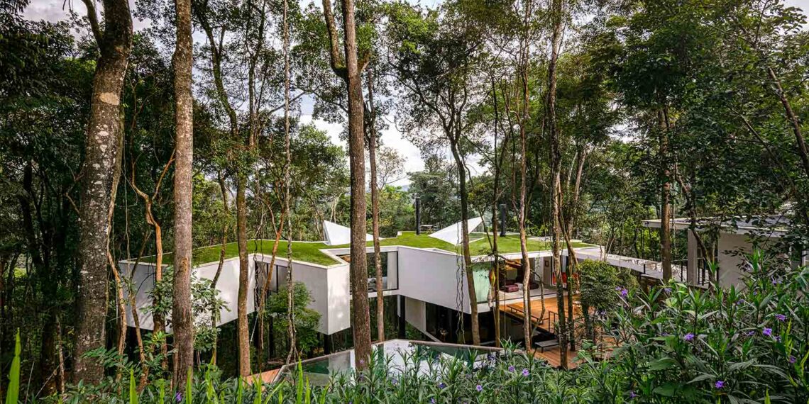 Casa Açucena Teaser