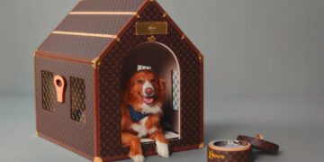 Who Let the Dogs Out: High-Fashion für Hunde