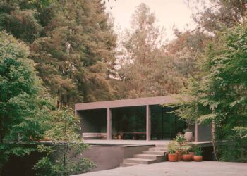 Green Alignment: Im Einklang mit der Natur in Mexiko