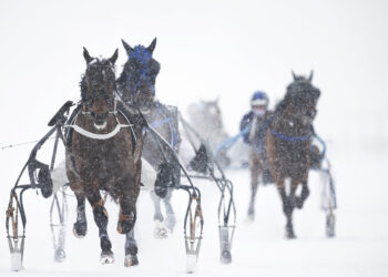 Eiskalt durchs Ziel: Die White Turf Highlights 2025