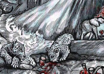 Künstlerin Ginny Litschers Weinetiketten für Don Leone