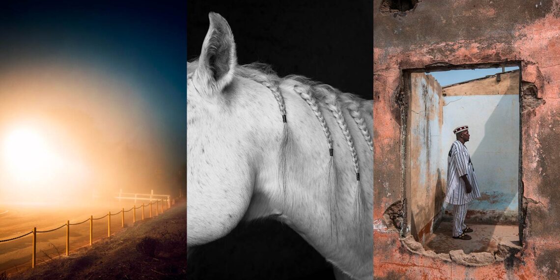 Frauen in der Fotografie