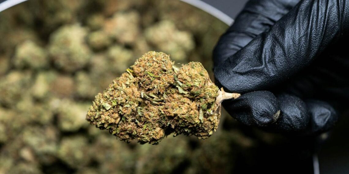 MEDIZINISCHES THC – WAS ERLAUBT IST UND WAS (NOCH) NICHT