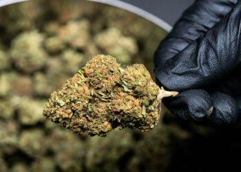 MEDIZINISCHES THC – WAS ERLAUBT IST UND WAS (NOCH) NICHT