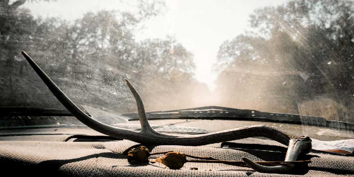 Fotograf Alex Bex im Interview